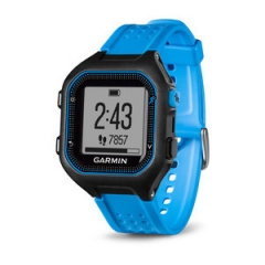 Умные часы Garmin Forerunner 25, Large - Black/Blue