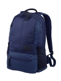 Рюкзак VICTORINOX Altmont 3.0 Laptop Backpack 15,6'' 601807