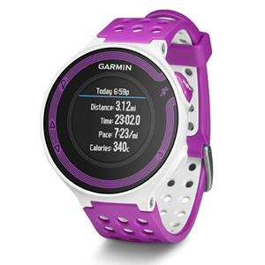 garmin forerunner 3